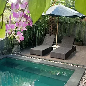 D'puja And Nusa Dua (Bali)